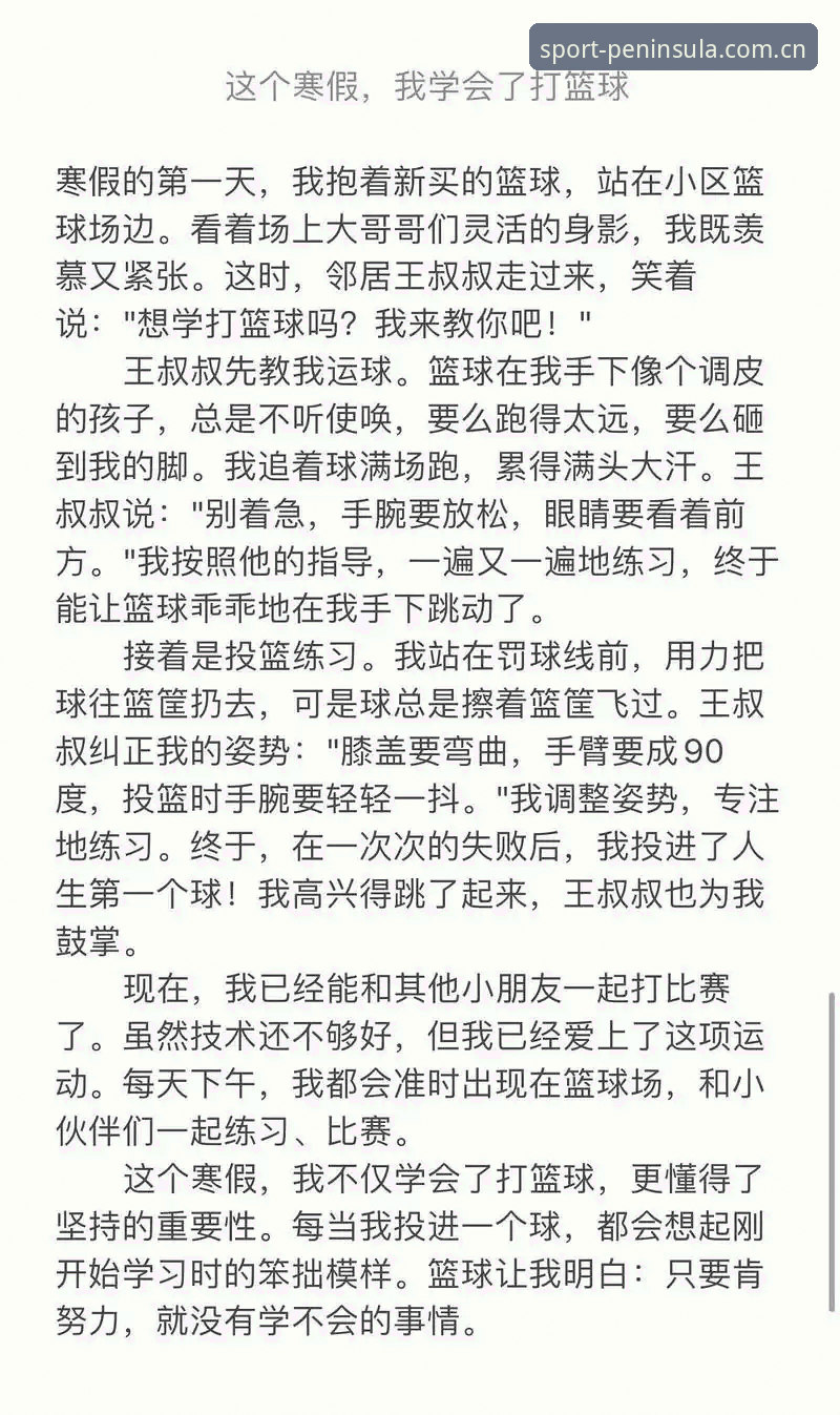 新手必看：我的半岛体育娱乐资源推荐使用心得与实战经验分享